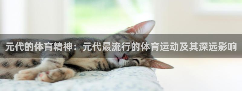 678体育官网