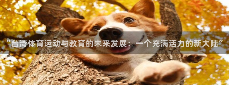 678体育官网地址