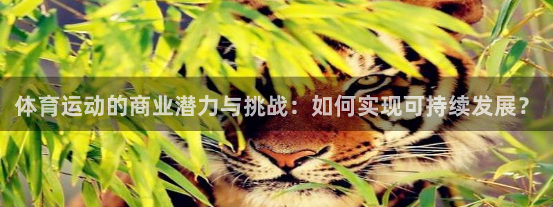678体育知识