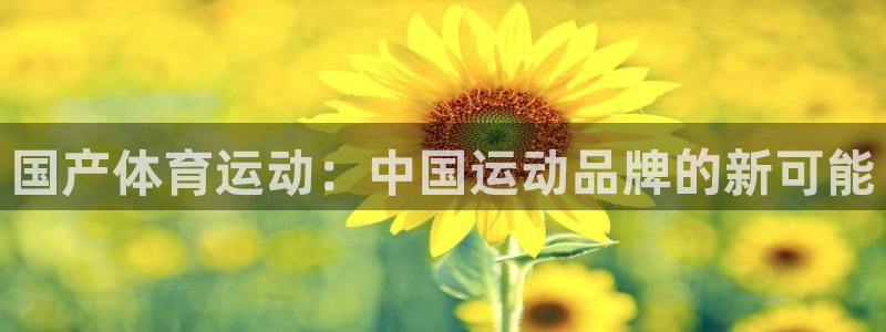 678体育官网地址