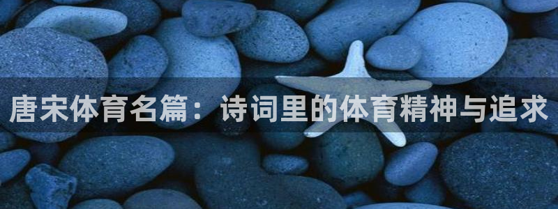 678体育知识